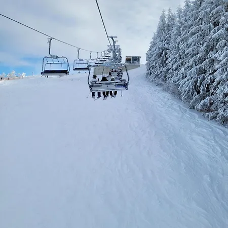 Altastenberg Nabij De Piste * Βίντερμπεργκ