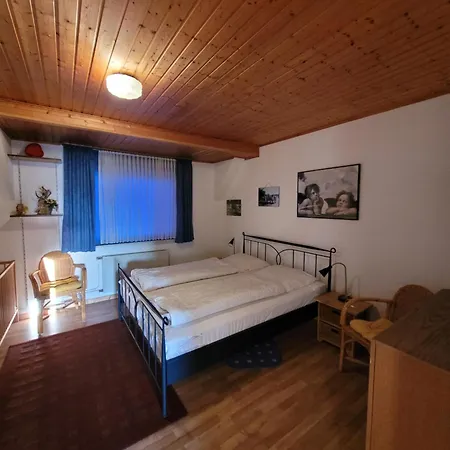 Altastenberg Nabij De Piste Σπίτι διακοπών *