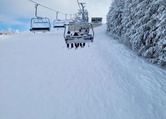 Altastenberg Nabij De Piste * Winterberg