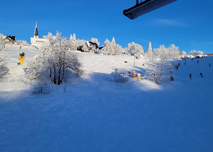 別荘 Altastenberg Nabij De Piste ヴィンターベルク
