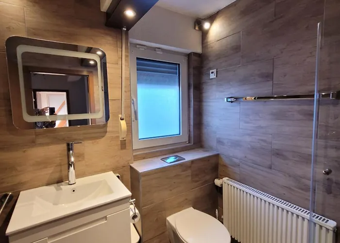 Altastenberg Nabij De Piste ヴィンターベルク