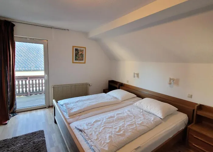 Altastenberg Nabij De Piste 別荘 *